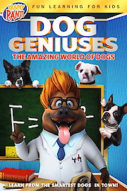 Dog Geniuses poster