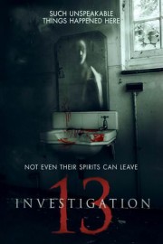 Investigation 13 poster