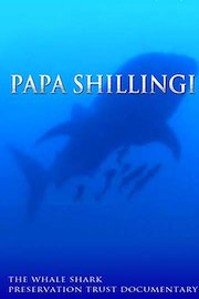 Papa Shillingi