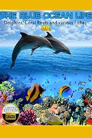 The Blue Ocean Life