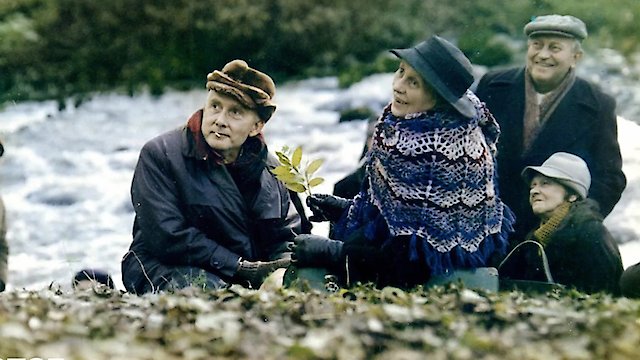 Watch Weather Forecast Online