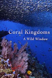 Coral Kingdoms