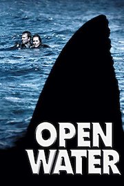 _DUPE_Open Water poster