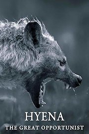 Hyena: the great opportunist poster