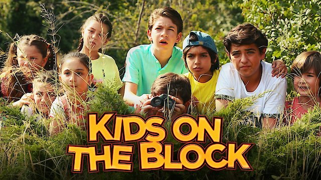 Watch Kids on the Block Online