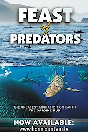 Feast of Predators
