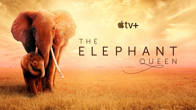 Watch The Elephant Queen Online