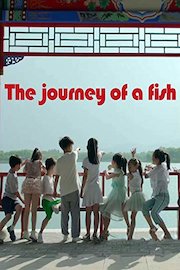 The journey of a fish