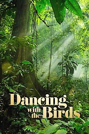 Dancing with the Birds poster