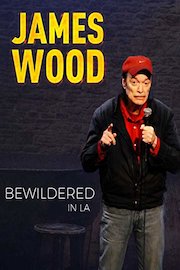 James Wood:  Bewildered in LA