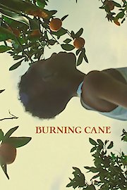 Burning Cane poster
