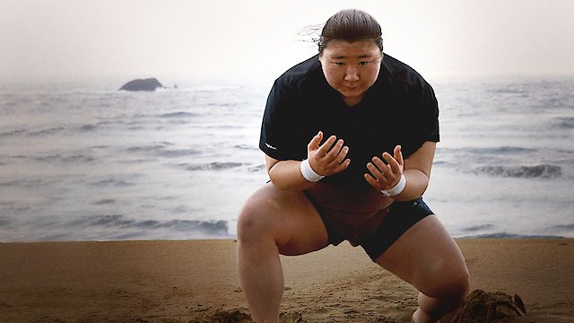 Watch Little Miss Sumo Online