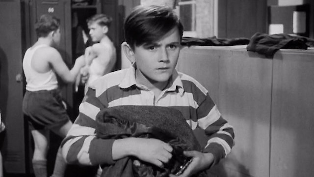 Watch Johnny on the Run Online