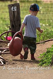 A Garden Experience: Growing Organic