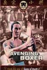 Avenging Boxer poster