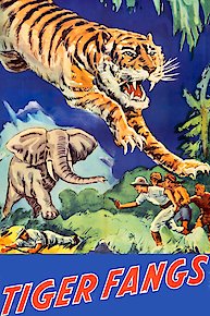 Tiger Fangs