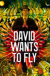 David Wants To Fly