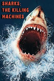 Sharks: The Killing Machines