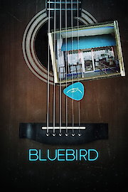 Bluebird poster
