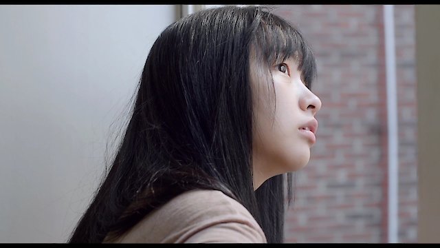 Watch The Transfer Student Online
