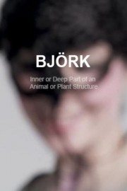 The Inner Or Deep Part Of An Animal Or Plant Structure: The Making Of Medulla
