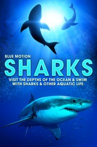Sharks: Visit the Depths of the Ocean and Swim with Sharks and Other Aquatic Life (Blue Motion)