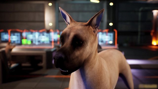 Watch Avenger Dogs Online