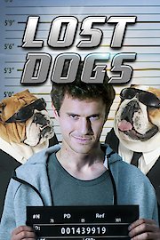 Lost Dogs poster