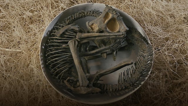 Watch The Dinosaur Echo Online