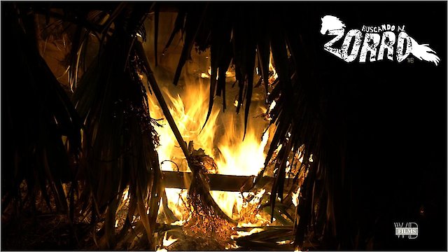 Watch Searching for Zorro Online