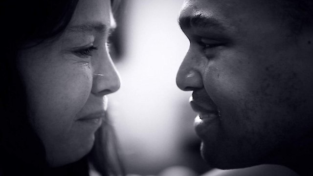 Watch Pink Elephants Online