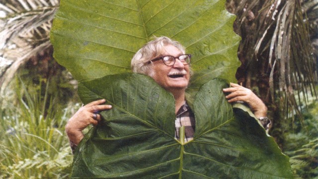 Watch Landscape Film: Roberto Burle Marx Online