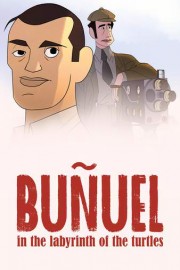 Bunuel in the Labyrinth of the Turtles poster