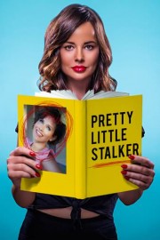 Pretty Little Stalker poster