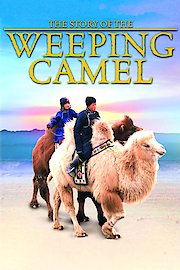 The Story of the Weeping Camel