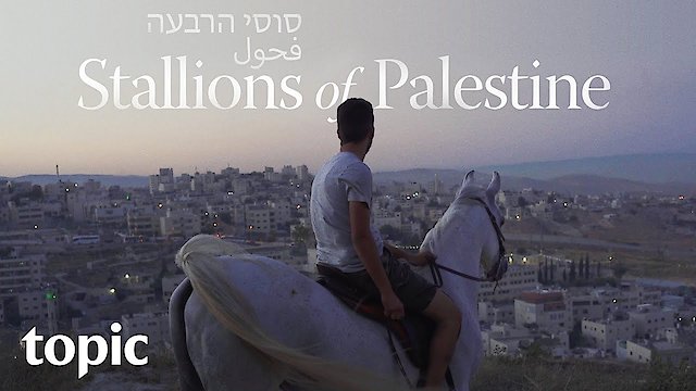 Watch Stallions of Palestine Online