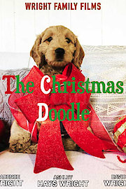 The Christmas Doodle poster
