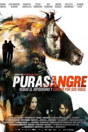 Purasangre poster