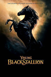 The Young Black Stallion