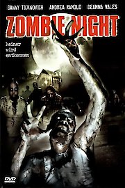 Zombie Night poster