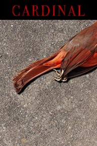 Cardinal