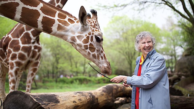 Watch The Woman Who Loves Giraffes Online