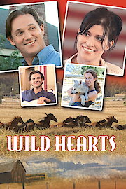 Wild Hearts poster