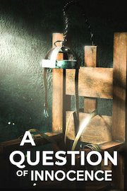 A Question of Innocence poster