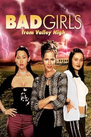 The Bad Girls From Valley High poster