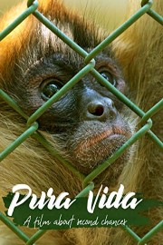 Pura Vida