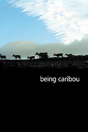 Being Caribou poster