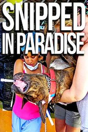 Snipped In Paradise