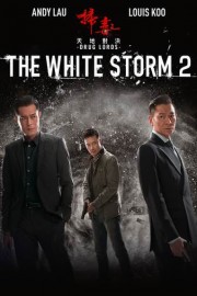 The White Storm 2: Drug Lords poster