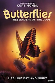 Butterflies: Messengers of God